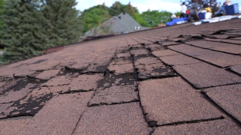 Best Skylight Installation and Repair  in Wilson, PA