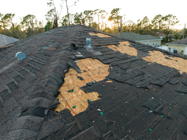 Best Emergency Roof Repair Services  in Wilson, PA