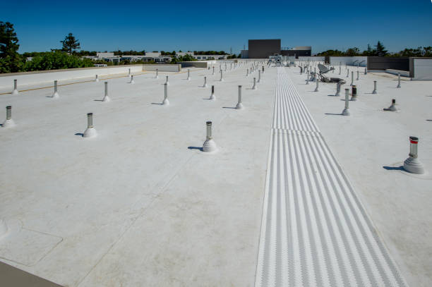 Best Roof Leak Repair  in Wilson, PA